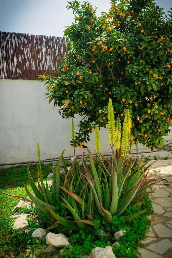 Villa Riu Altaret Denia Luaran gambar